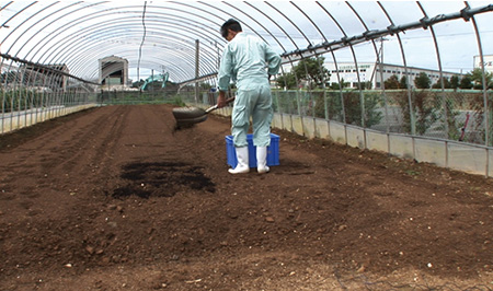 自社農場で連作栽培実験中